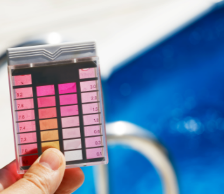 Construction Process | Morehead Pools